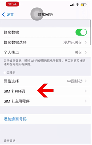 铜山苹果14维修网分享如何给iPhone14的SIM卡设置密码 