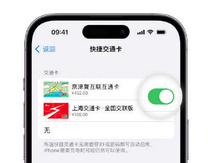 铜山apple维修点分享iPhone上更换Apple Pay快捷交通卡手绘卡面 