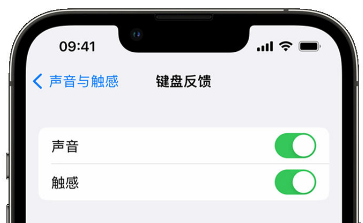 铜山苹果手机维修分享iPhone 14触感键盘使用方法 