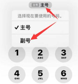 铜山苹果14维修店分享iPhone 14 Pro Max使用副卡打电话的方法 