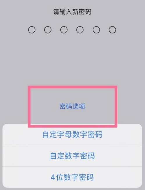 铜山苹果14维修分享iPhone 14plus设置密码的方法 