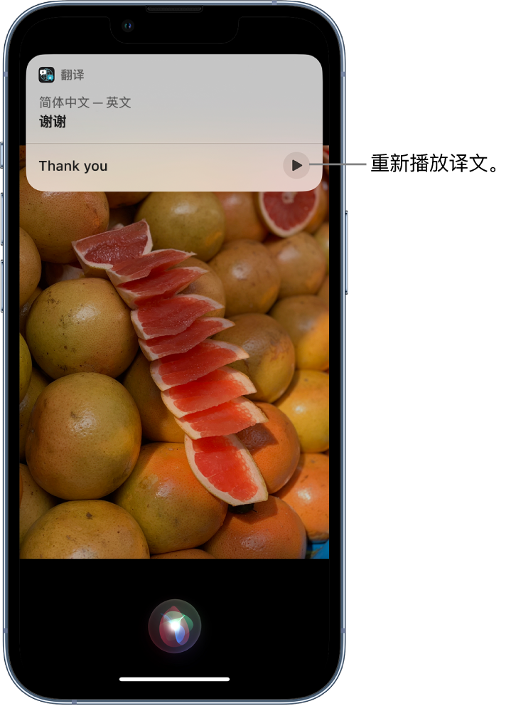 铜山苹果14维修分享 iPhone 14 机型中使用 Siri：了解 Siri 能帮你做什么 