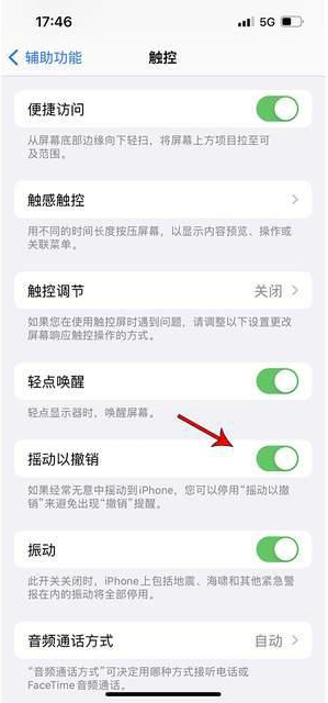 铜山苹果手机维修分享iPhone手机如何设置摇一摇删除文字 