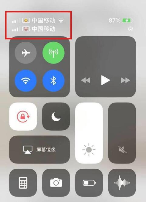 铜山苹果手机维修分享为 iPhone 12 双卡设置标签 